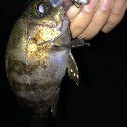 ガシリングでひたすらネチネチ