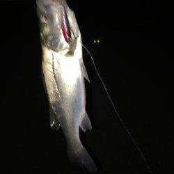 仕事終わりにチーバス