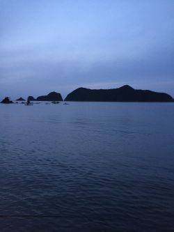 大メバル釣れました！