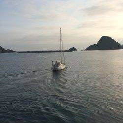 アジ釣り４日連続