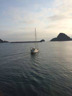 アジ釣り４日連続