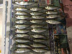 ファミリーフィッシング