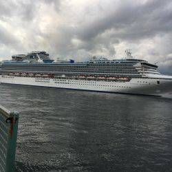 アジを探してます