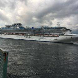 アジを探してます