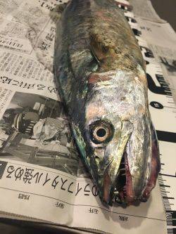 のんびりが一番！