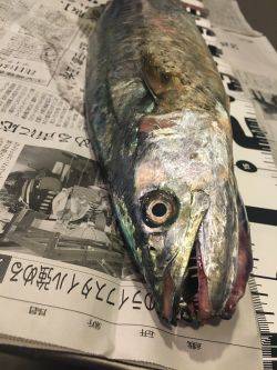 のんびりが一番！