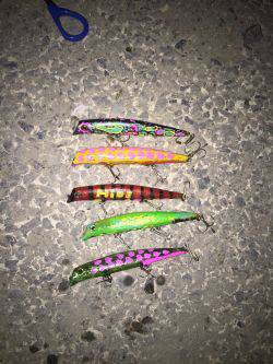 バチバチ11 クルクルバチ