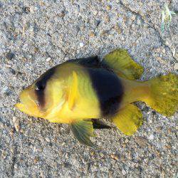 久しぶりの和歌山