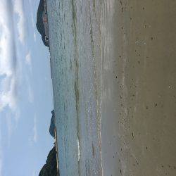 砂浜でキス釣り