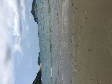 砂浜でキス釣り