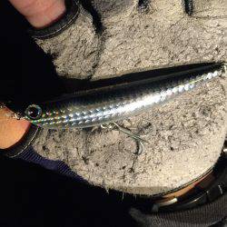 朝マズメシーバス！