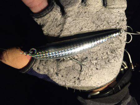 朝マズメシーバス！