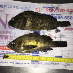 新規開拓 ランガン