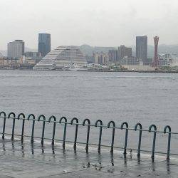 今期初シーバス