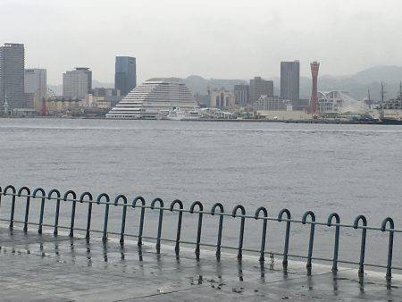 今期初シーバス