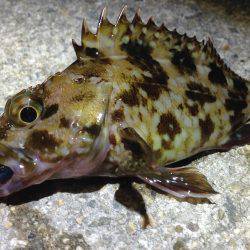 サイズがちっちゃーい！