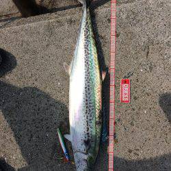 たまに起こる奇跡