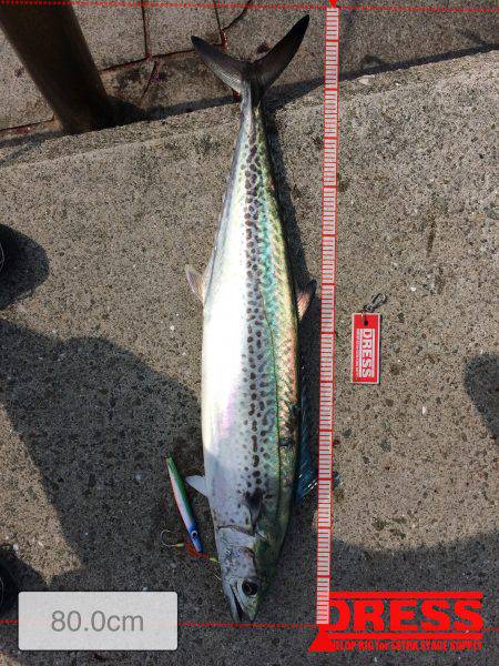 たまに起こる奇跡