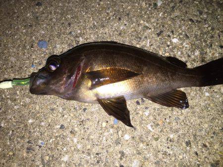 ビッグファイト!惜しくも…(>_<)