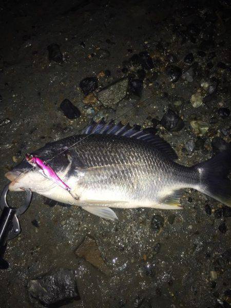 初投稿。初キビレ。