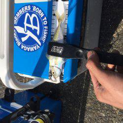 アジ、メバル調査!