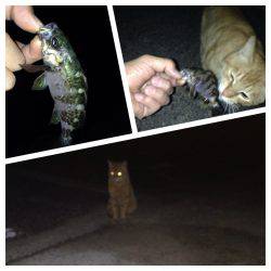 新規ポイント開拓〜