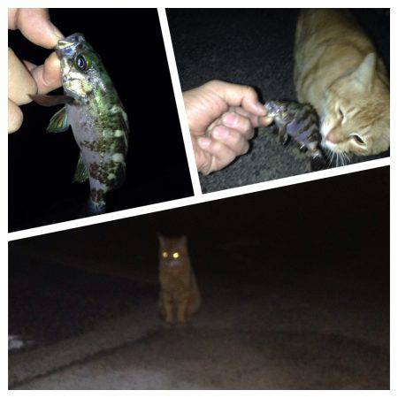 新規ポイント開拓〜