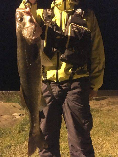 やっとこさの1本