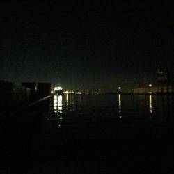 渋かった…(>_<)