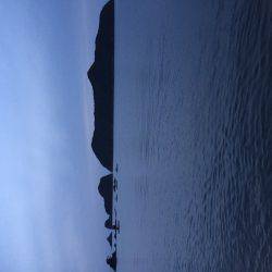 大メバル釣れました！