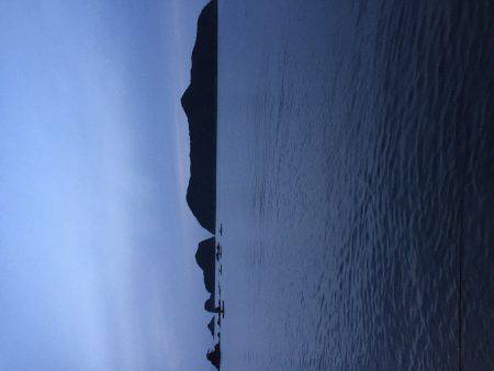 大メバル釣れました！