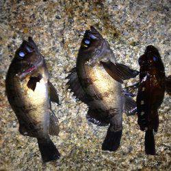 フロート&プラグ