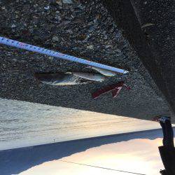 シーバスロッドで投釣