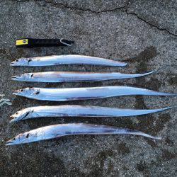 春タチキター！