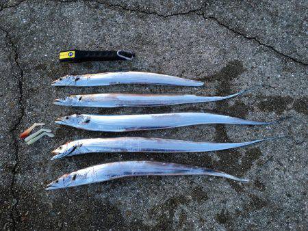 春タチキター！