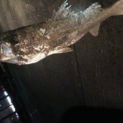 雨と風の中なんとか……