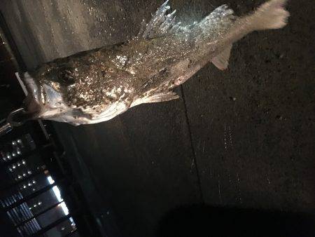 雨と風の中なんとか……