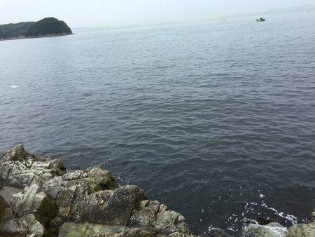 今年の初、青物