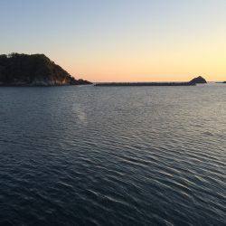 今年初めてのアジ釣り