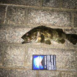 サイトフィッシング