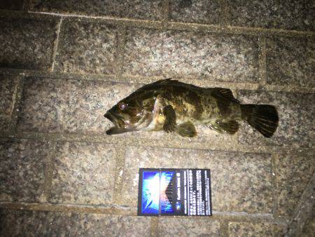 サイトフィッシング