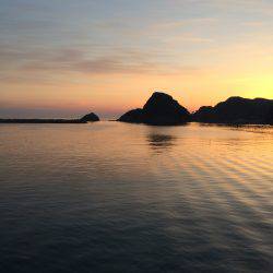 連チャンでアジ釣り