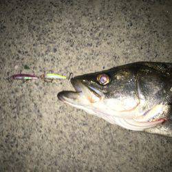 滞在時間20分で！！