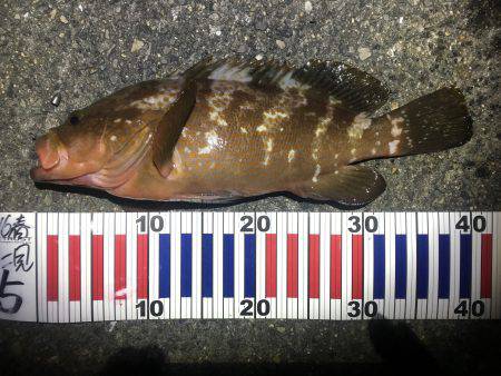 いましたよ、アイツが（≧∇≦）