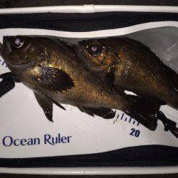 ３０分一本勝負！