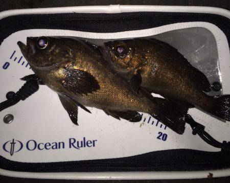 ３０分一本勝負！