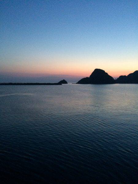 アジ釣り３連チャン