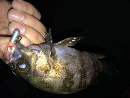 ガシリングでひたすらネチネチ