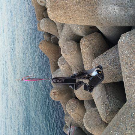 マイクロワインドでロックフィッシュ