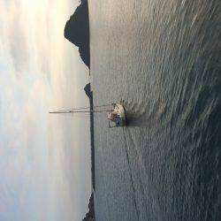 アジ釣り４日連続